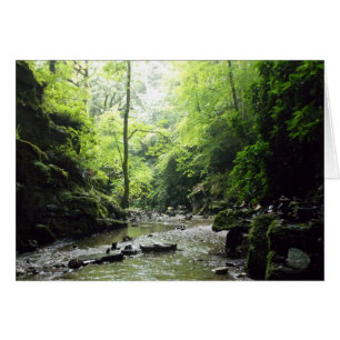 St Nectan's Glen Cornwall Photograph
