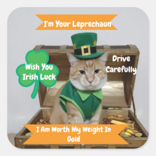 St Patrick Car Sticker Cat Humor Text