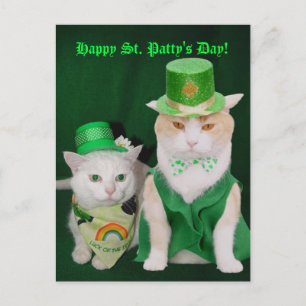St. Patrick Kitties Postcard