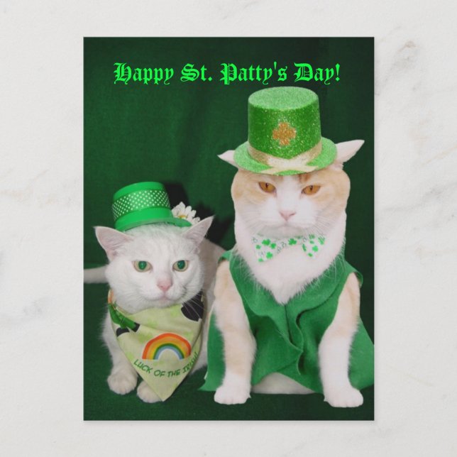St. Patrick Kitties Postcard (Front)