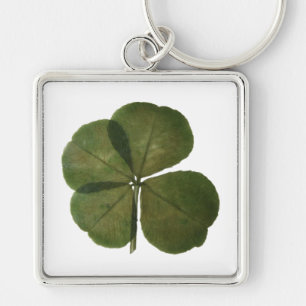 St Patrick Real 4 Leaf Clover Get Lucky Keychain