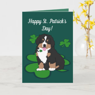 St. Patrick’s Day Bernese Mountain Dog  Card