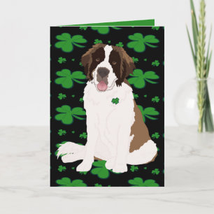 St. Patrick’s Day Saint Bernard  Holiday Card