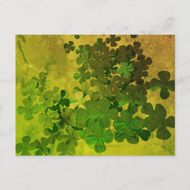 St. Patrick’s Day Shamrock Postcard (Front)