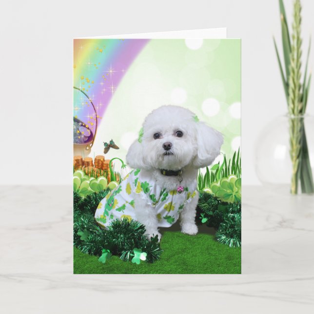 St Patrick's Day - Bichon Frise - Mia Card (Front)