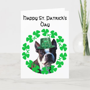 St Patrick's Day Boston Terrier greeting card