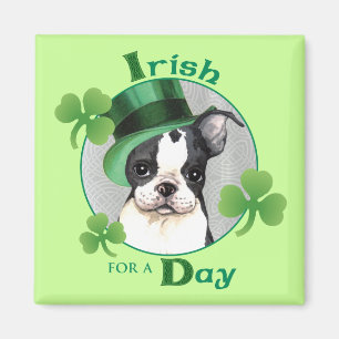 St. Patrick's Day Boston Terrier Magnet