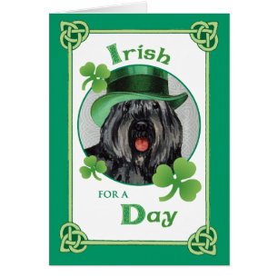 St. Patrick's Day Bouvier