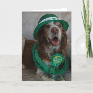 ST PATRICK'S DAY BRITTANY CARD