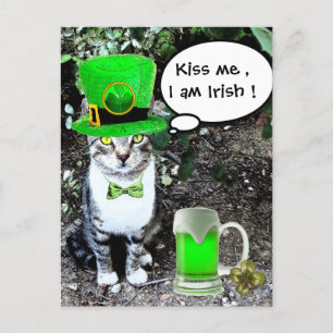 ST PATRICK'S DAY CAT WITH GREEN IRISH BEER POSTCARD
