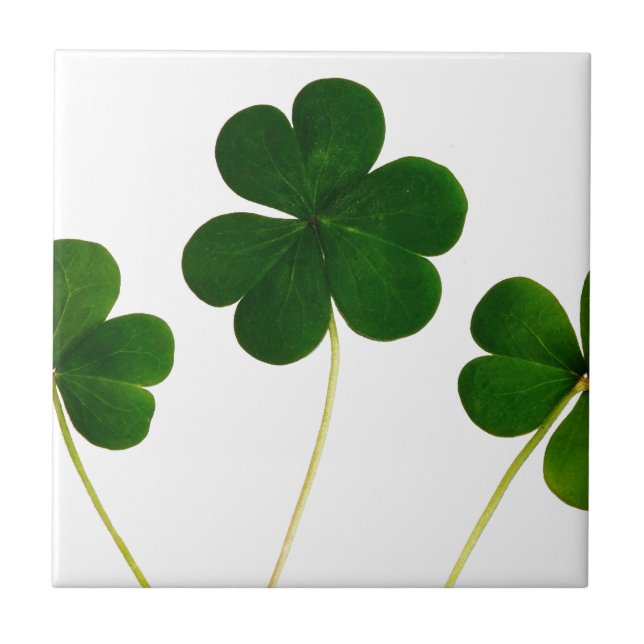 st patricks day clover shamrock ceramic tile (Front)