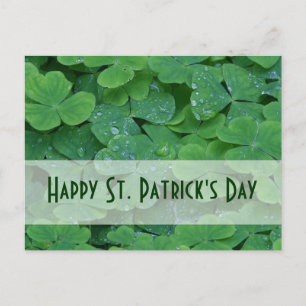 St. Patricks Day Collection Holiday Postcard