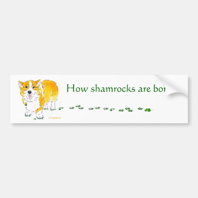St Patrick's Day Corgi Bumper Sticker (Front)