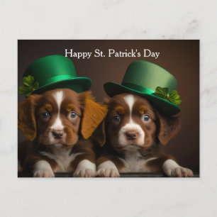 st. patrick's day dogs holiday postcard