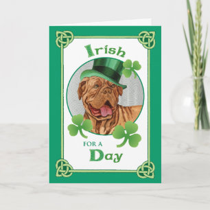 St. Patrick's Day Dogue de Bordeaux Card