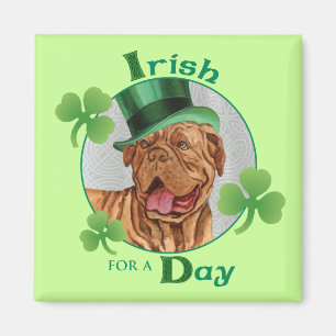 St. Patrick's Day Dogue de Bordeaux Magnet