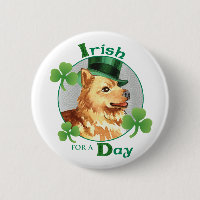 St. Patrick's Day Finnish Spitz