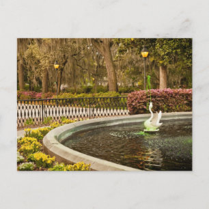 St Patrick's Day - Forsyth Fountain, Savannah, GA Postcard