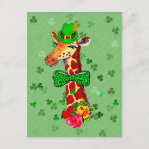 St. Patrick's Day Giraffe Postcard