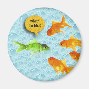 St. Patrick's Day, Goldfish Humour Magnet