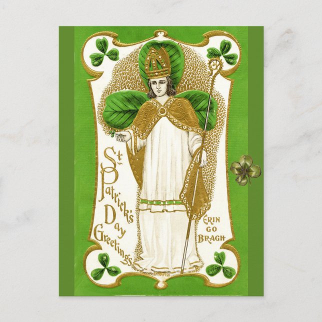 ST.PATRICK'S DAY GREEN SHAMROCKS AND TRINITY POSTCARD (Front)