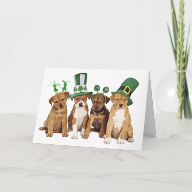 St. Patrick's Day  Holiday Card (Front)