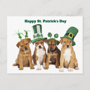 St. Patrick's Day  Holiday Postcard