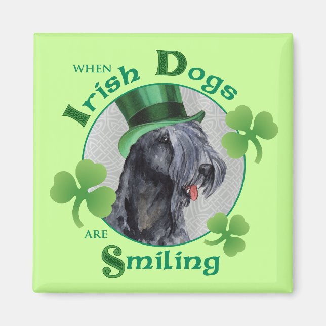 St. Patrick's Day Kerry Blue Terrier Magnet (Front)