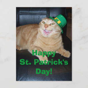 St Patrick's Day Leprechaun Cat Postcard