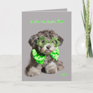 St Patricks Day Lucky Dog Card
