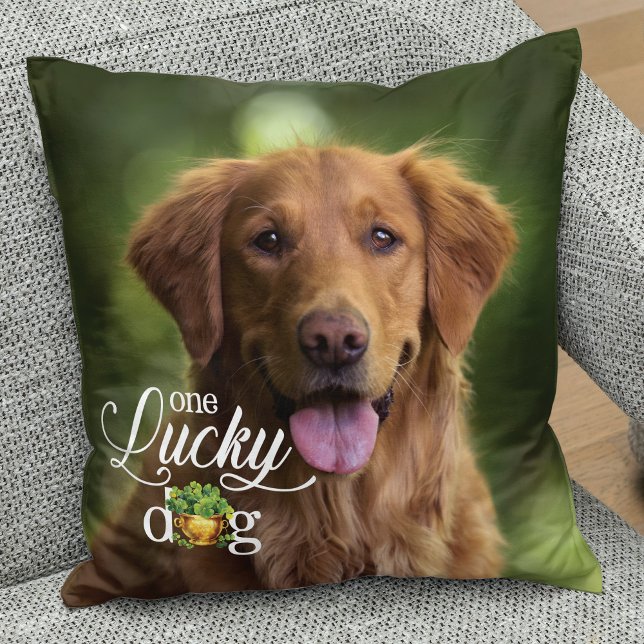 St. Patrick's Day Lucky Dog Custom Photo Cushion (Creator Uploaded)