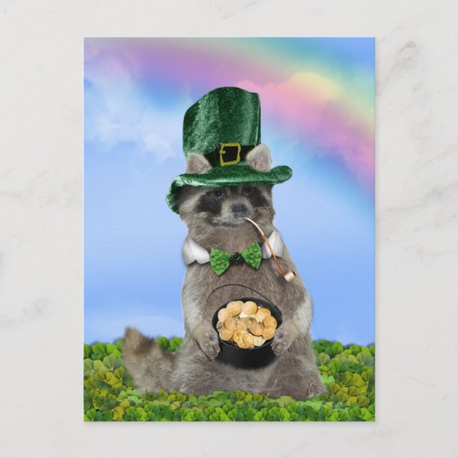 St Patrick's Day - Lucky Racoon Postcard (Front)