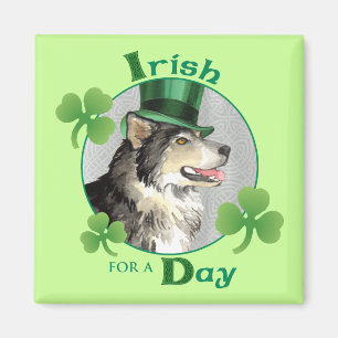 St. Patrick's Day Malemute Magnet