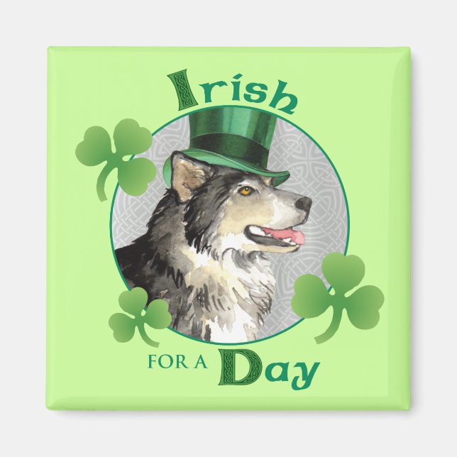 St. Patrick's Day Malemute Magnet (Front)
