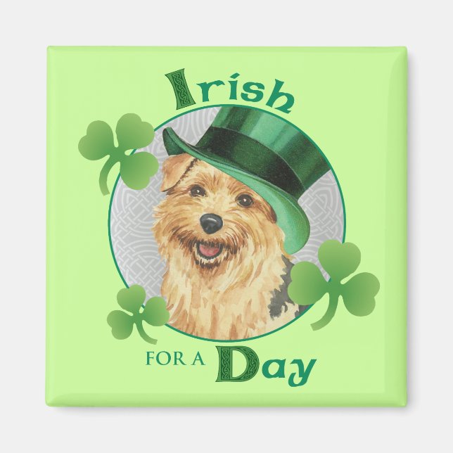 St. Patrick's Day Norfolk Terrier Magnet (Front)