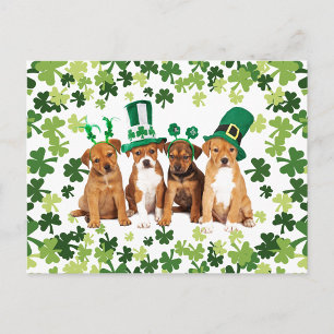 St. Patrick's Day Postcard