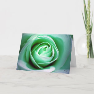 St. Patrick's Day, S Cyr Card