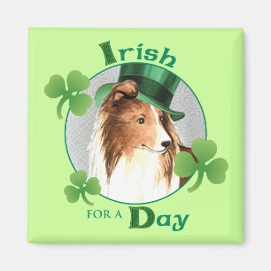 St. Patrick's Day Sheltie Magnet