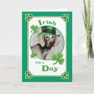 St. Patrick's Day Weimaraner Card