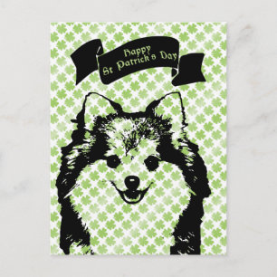 St Patricks - Pomeranian Silhouette Postcard