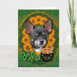 St Patricks - Pot of Gold - Chihuahua - Isabella Card
