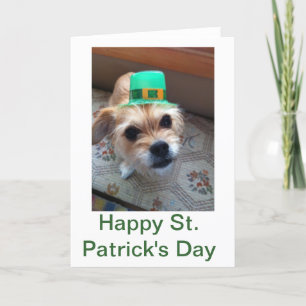 St. Patrick's Puppy Card