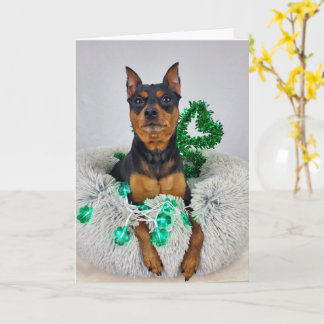St Pats MinPin Card