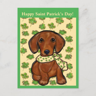St.Patty Doxie   Postcard