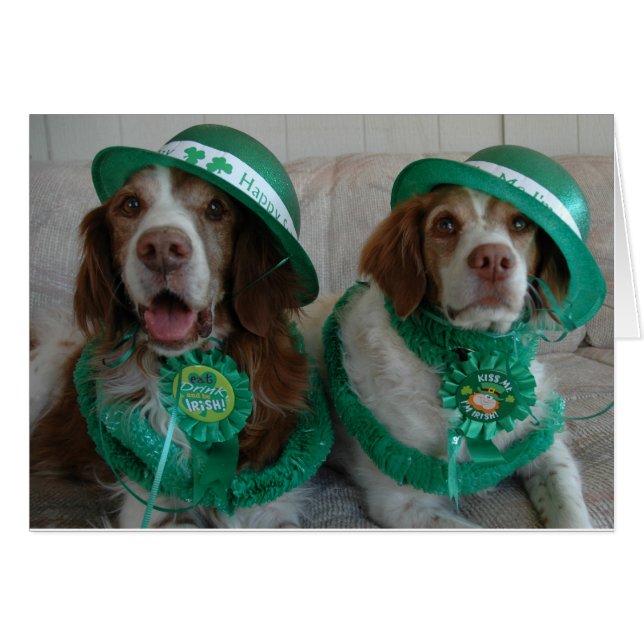 ST PATTY'S DAY BRITTANYS (Front Horizontal)
