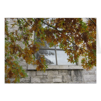 St. Paul's Autumn Oak