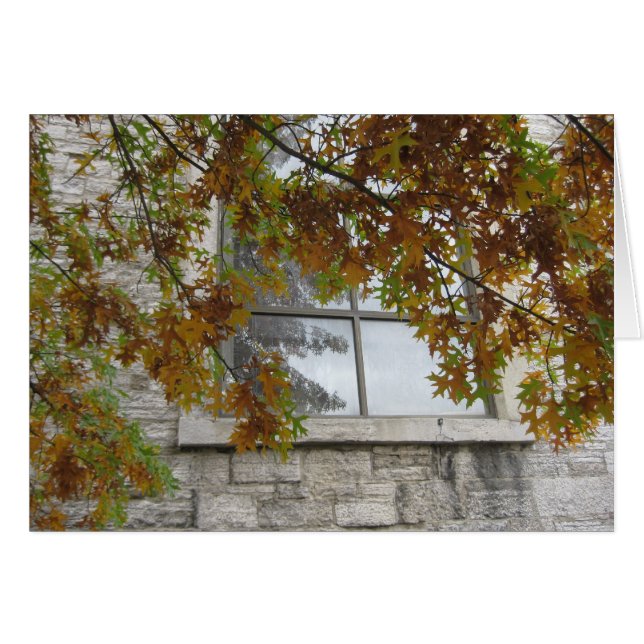 St. Paul's Autumn Oak (Front Horizontal)