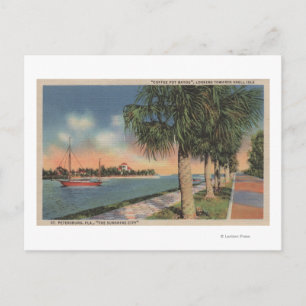 St. Petersburg, FL - View of Coffee Pot Postcard