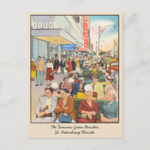St Petersburg Florida Green Benches Postcard