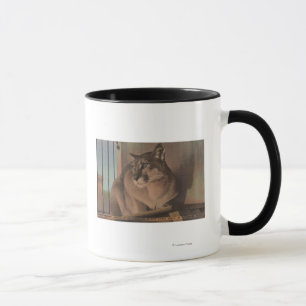 St. Petersburg, Florida - Picture Of Florida Mug